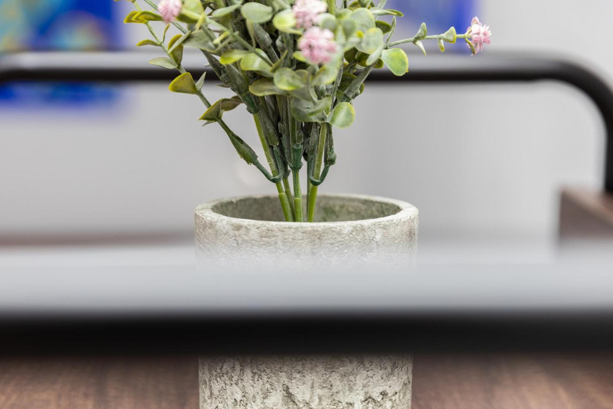 City Apartment Top Location, Quiet And Cozy Ideal To Relax Or Work ウィーン エクステリア 写真