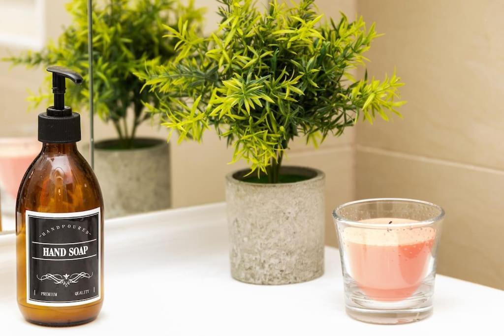 City Apartment Top Location, Quiet And Cozy Ideal To Relax Or Work ウィーン エクステリア 写真